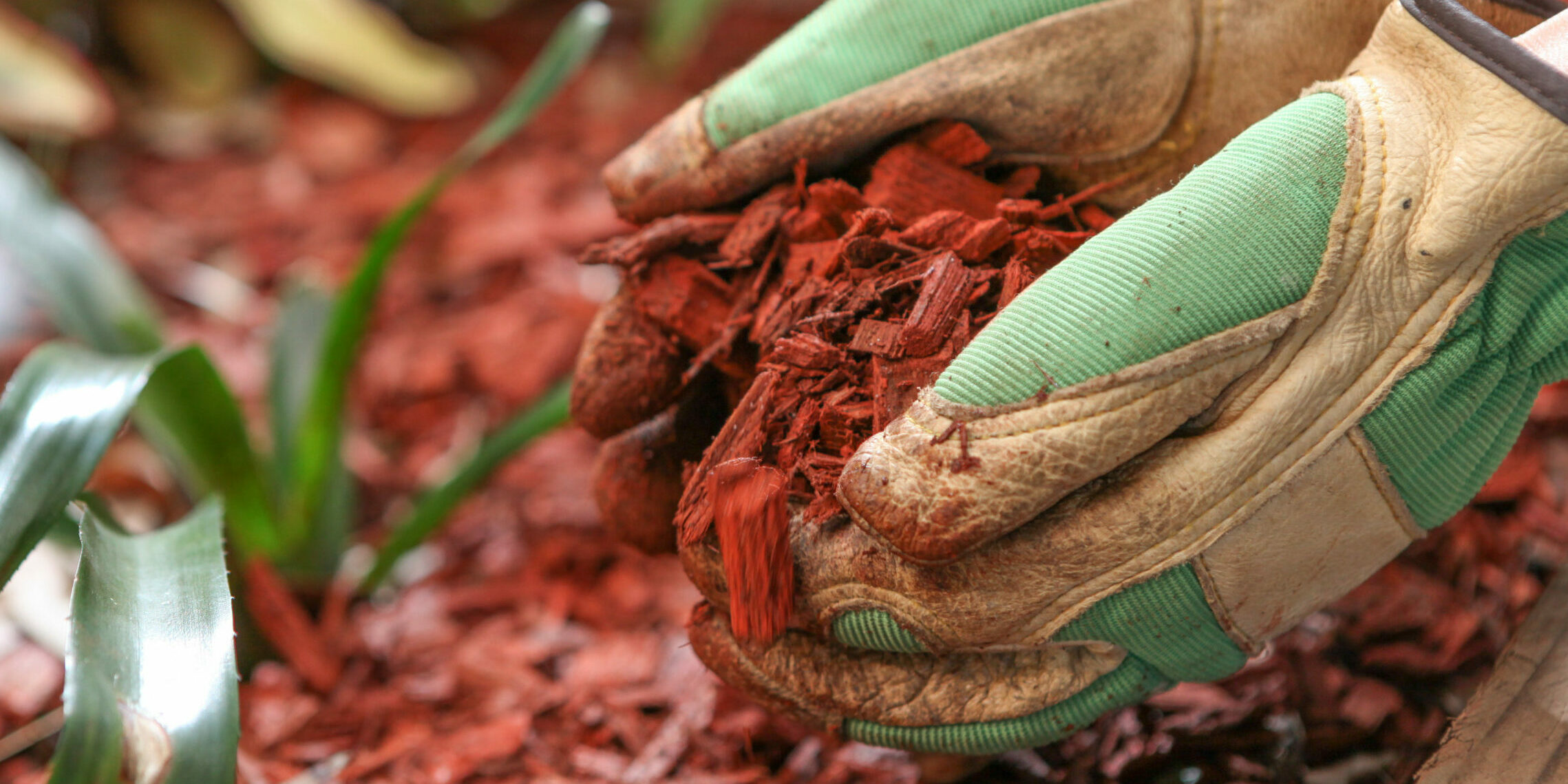Bulk Landscape Supply Store Baltimore MD | Wirtz & Daughters