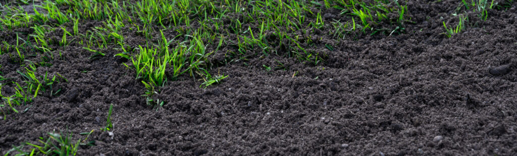 Grass growing in Compost-Enriched Topsoil