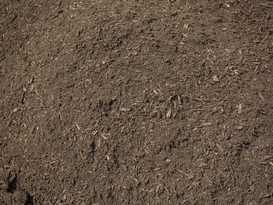 Outdoor mushroom soil on the ground